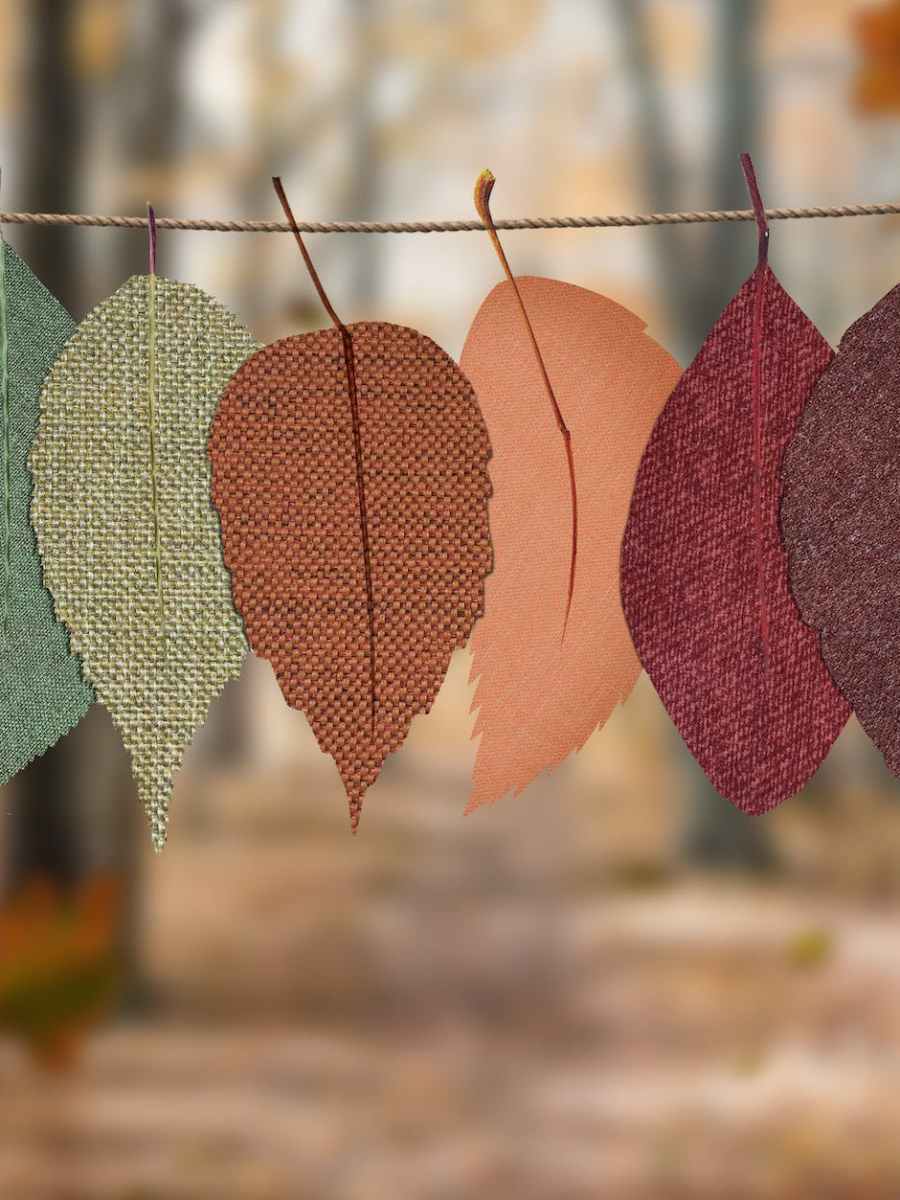 Membership – How to&nbsp;Renew/Join.