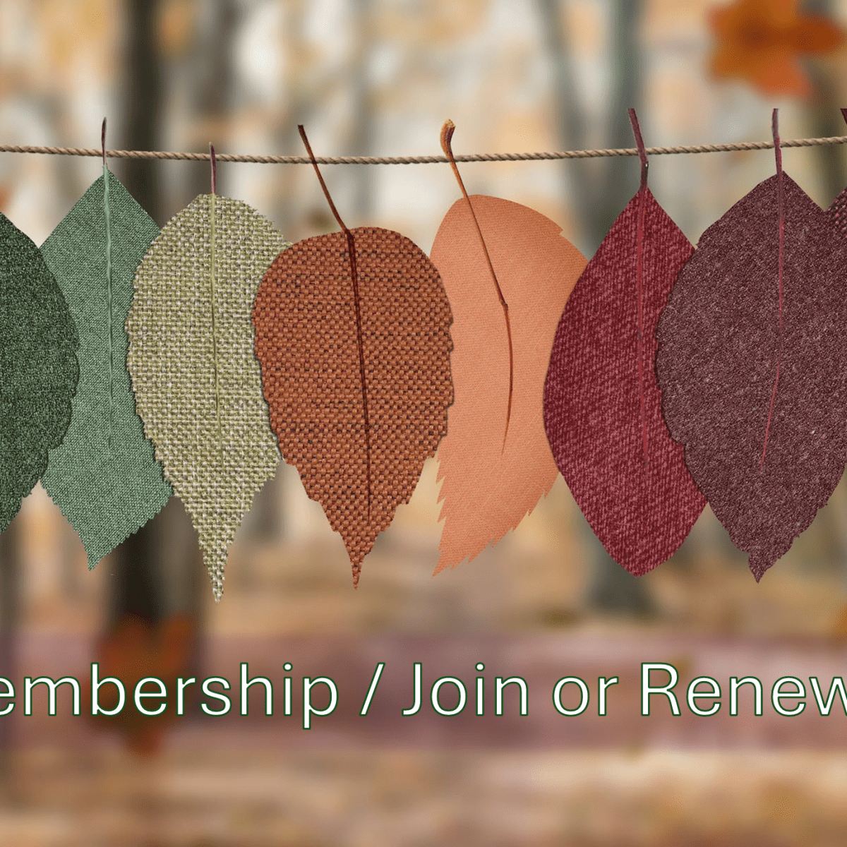 Membership – Renew/Join